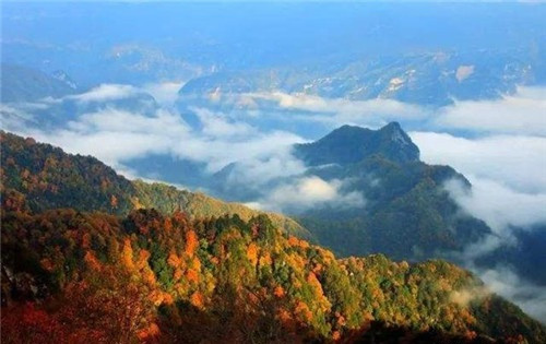 米倉山國家森林公園