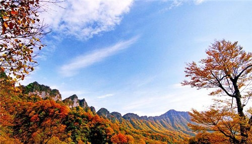 米倉山國家森林公園