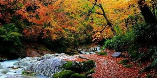 米倉山國家森林公園