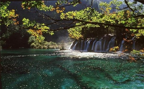 米倉山國家森林公園