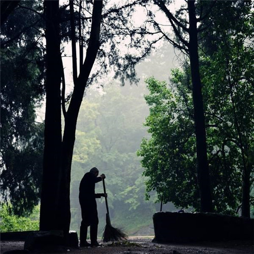 在中國古典園林中尋摸中華文化的審美意識