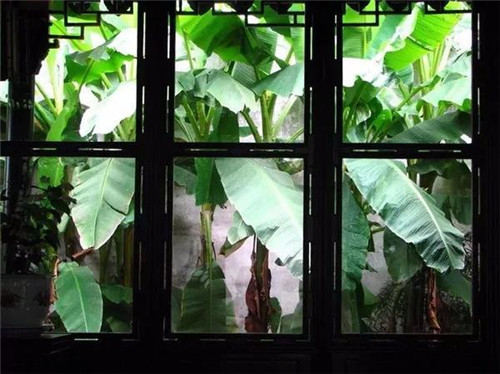 在中國古典園林中尋摸中華文化的審美意識