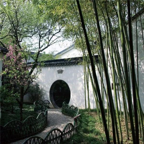 在中國古典園林中尋摸中華文化的審美意識