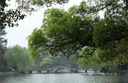 在中國古典園林中尋摸中華文化的審美意識