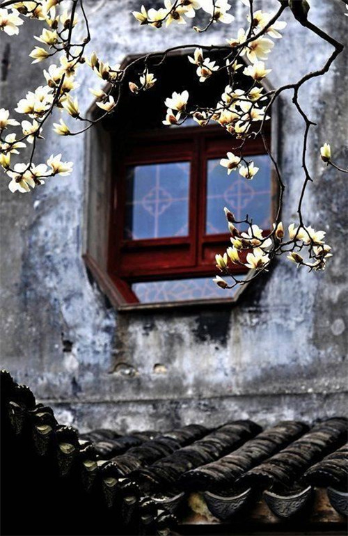 在中國古典園林中尋摸中華文化的審美意識