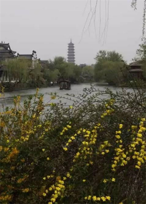 在中國古典園林中尋摸中華文化的審美意識