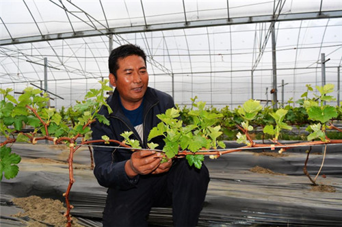 西藏生態文明建設:綠水青山入畫