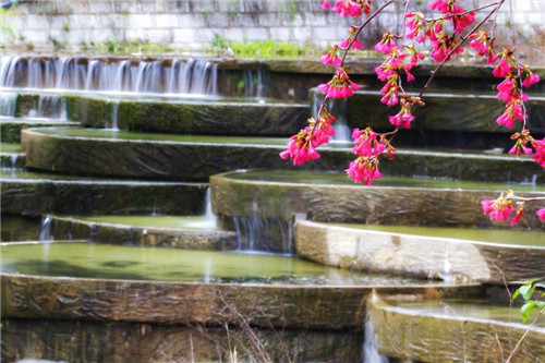 福州森林公園的小溪別有一番景致