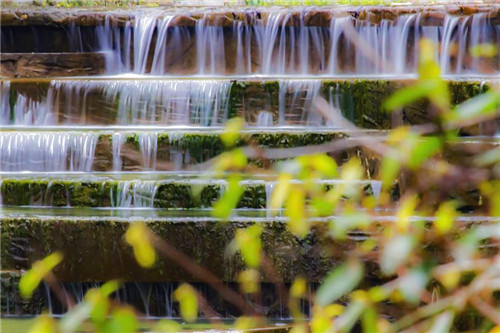 福州森林公園的小溪別有一番景致