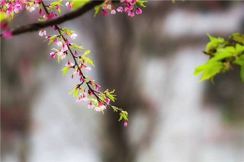 福州森林公園的小溪別有一番景致