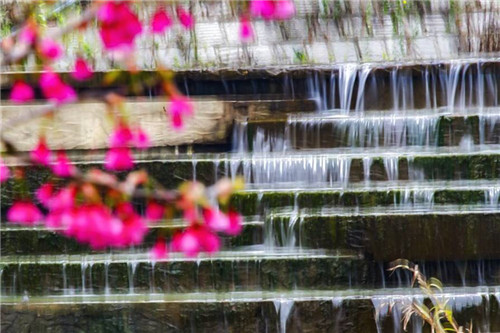福州森林公園的小溪別有一番景致