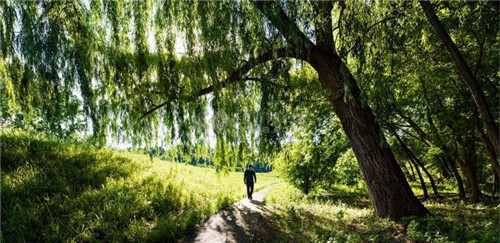 紐約Long Dock彈性濱河公園景觀設計