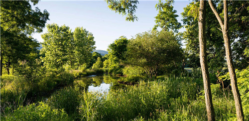 紐約Long Dock彈性濱河公園景觀設計