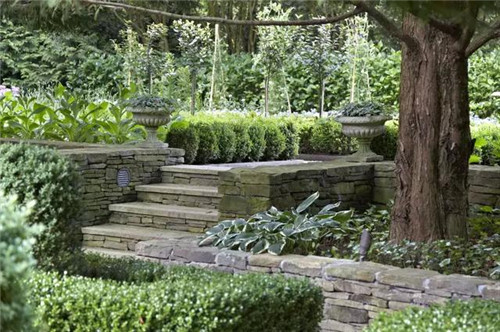 森林中的自然法式莊園景觀