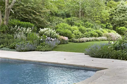 森林中的自然法式莊園景觀