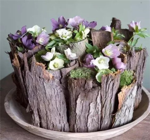 家庭插花常用的容器,花藝師必知