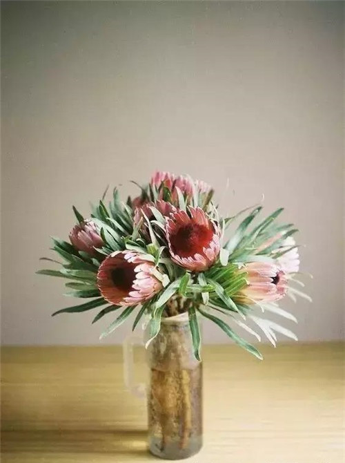 家庭插花常用的容器,花藝師必知