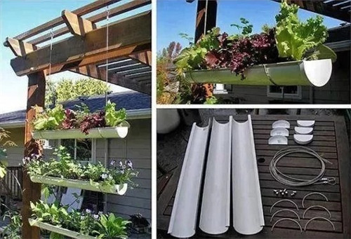 用雨水槽養(yǎng)成垂直的花園、菜園