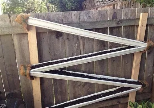 用雨水槽養(yǎng)成垂直的花園、菜園