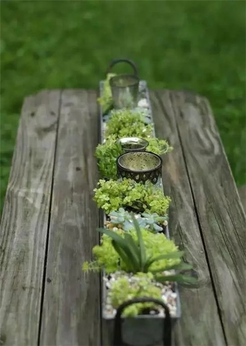 用雨水槽養(yǎng)成垂直的花園、菜園