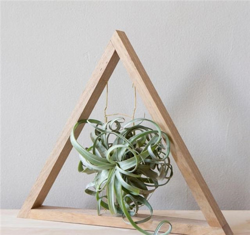 花藝中最受歡迎的10種花材,你都知道嗎?