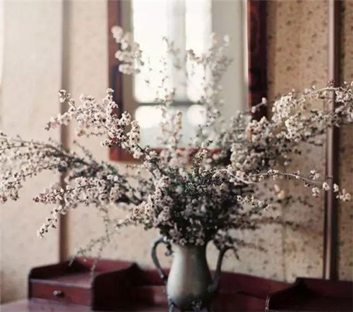 花藝中最受歡迎的10種花材,你都知道嗎?