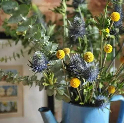 花藝中最受歡迎的10種花材,你都知道嗎?