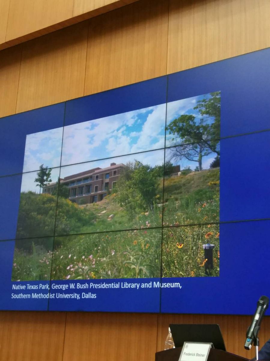 弗雷德里克?斯坦納：人類世中的生態智慧