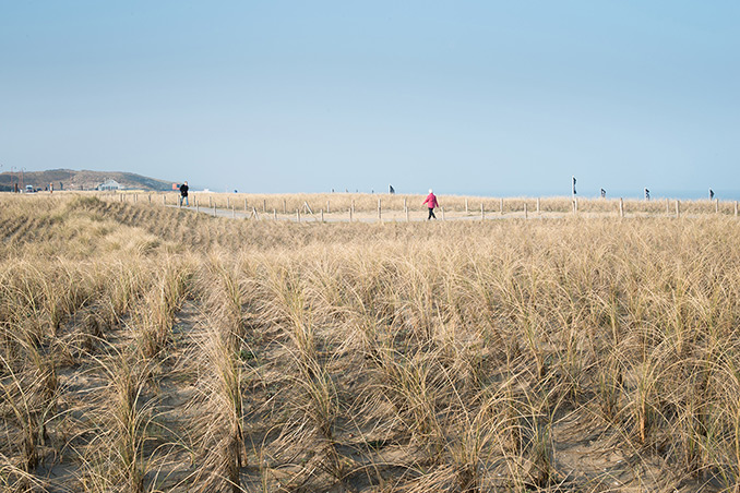 面對環境問題,我們為什么說前途是光明的?