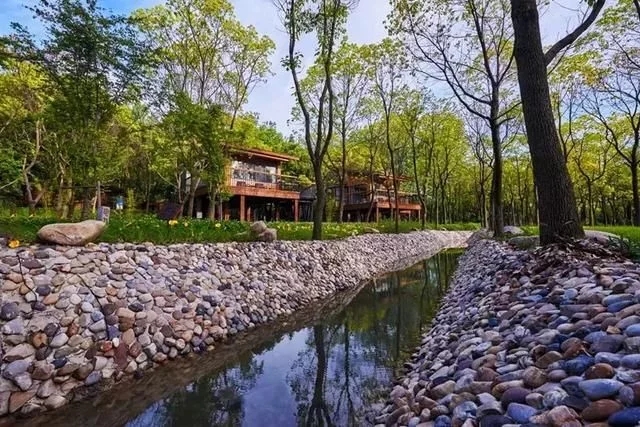 尋一蘇州民宿，臨湖而居，枕溫柔夢鄉