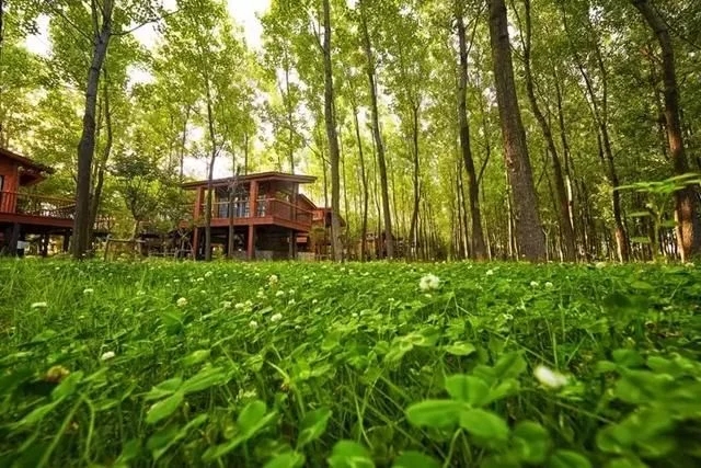 尋一蘇州民宿，臨湖而居，枕溫柔夢鄉