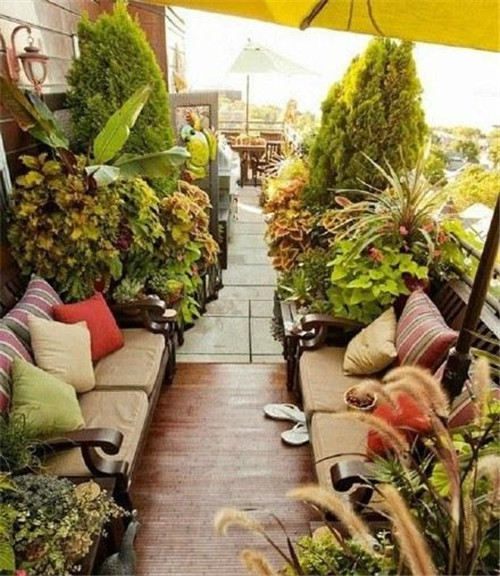 國(guó)外絕美屋頂花園和露臺(tái)綠植花卉景觀欣賞