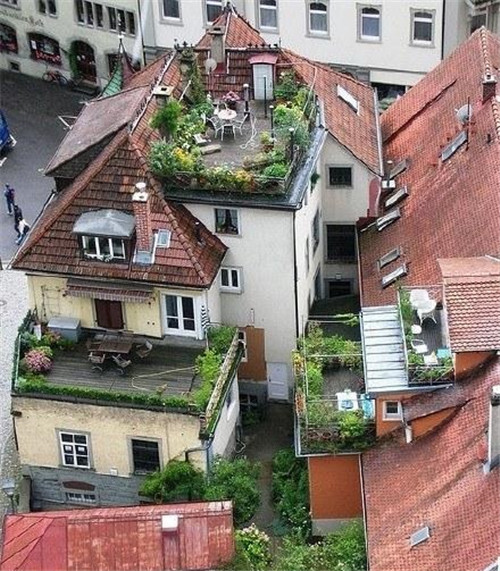 國(guó)外絕美屋頂花園和露臺(tái)綠植花卉景觀欣賞