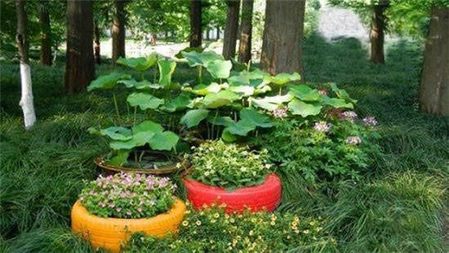 農家樂和休閑農莊里那些迷人的景觀小品