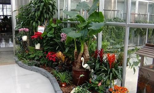 農家樂和休閑農莊里那些迷人的景觀小品