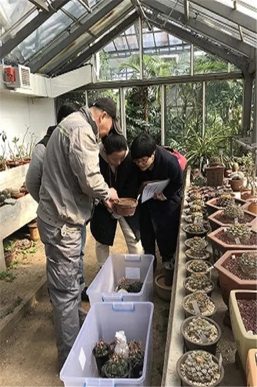 走私查獲的珍稀瀕危植物 送植物園