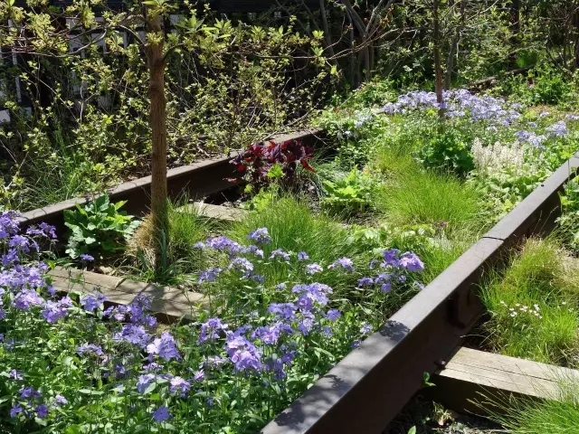 高線公園為什么兩奪asla大獎？