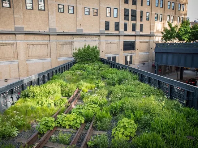 高線公園為什么兩奪asla大獎？