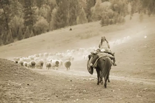 關(guān)于城市復(fù)興高線公園的啟示