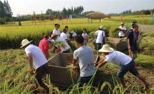 關于休閑農業的盈利模式?