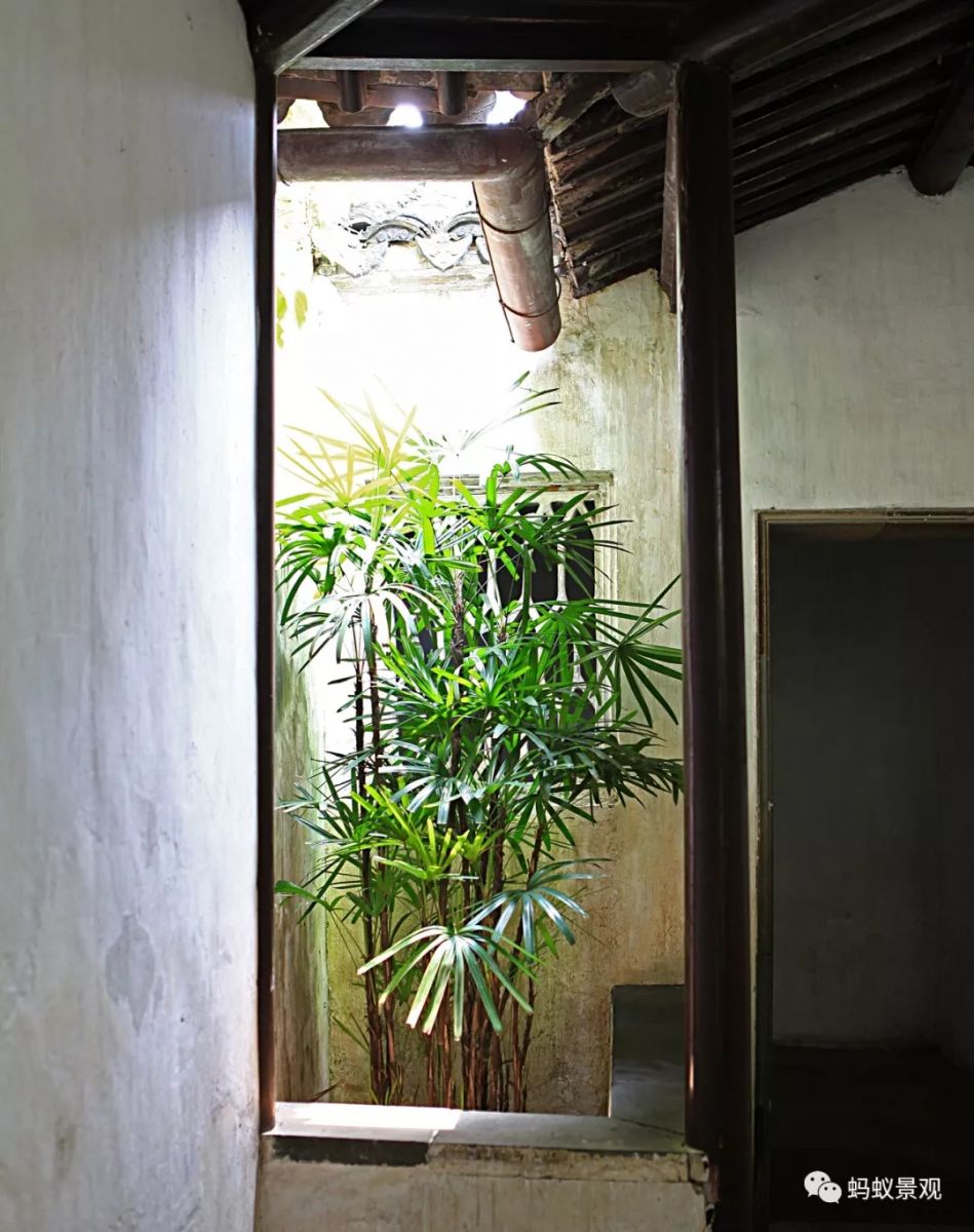 留園技術詳解手冊（上篇）