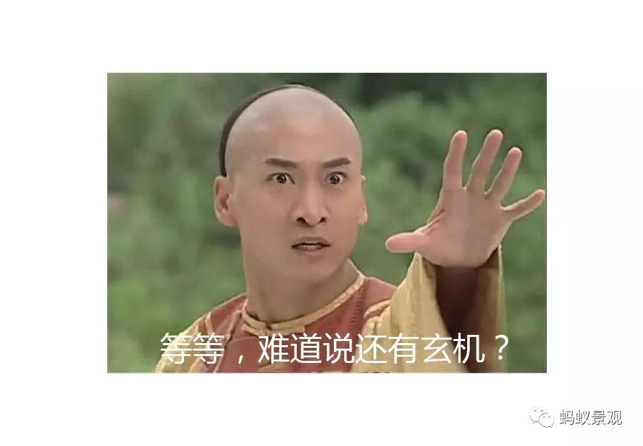 留園技術詳解手冊（上篇）