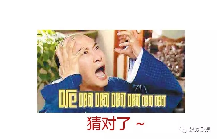 留園技術詳解手冊（上篇）