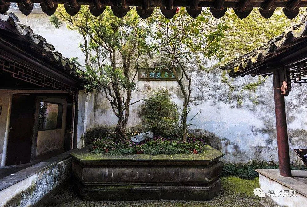 留園技術詳解手冊（上篇）