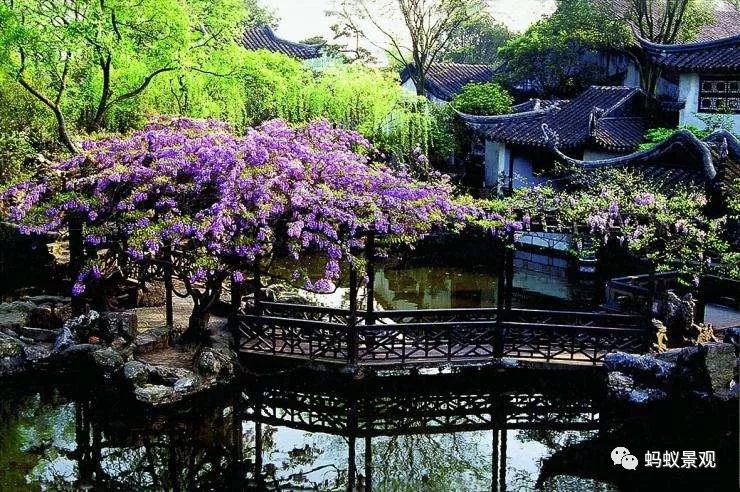 留園技術詳解手冊（上篇）