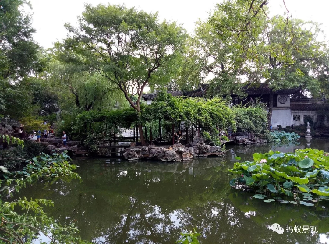 留園技術詳解手冊（上篇）