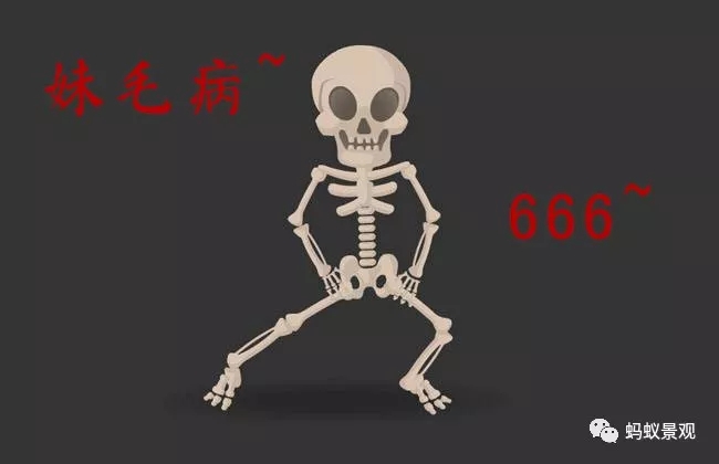 留園技術詳解手冊（上篇）