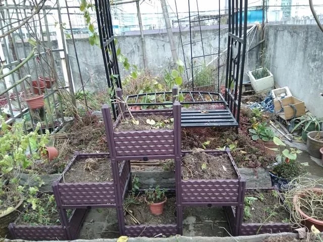 中國和德國屋頂花園發(fā)展對比