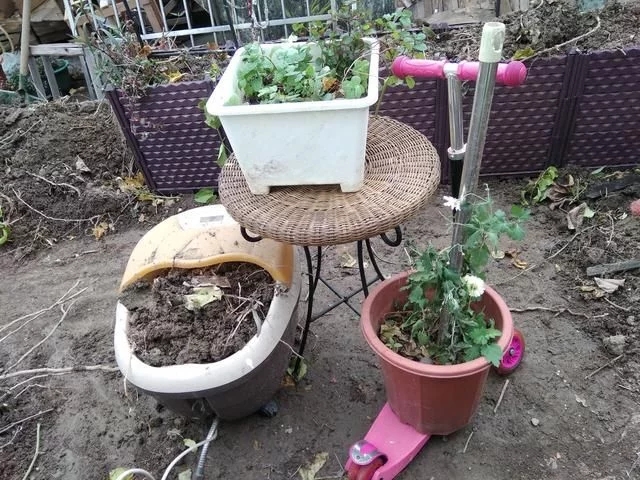 中國和德國屋頂花園發(fā)展對比