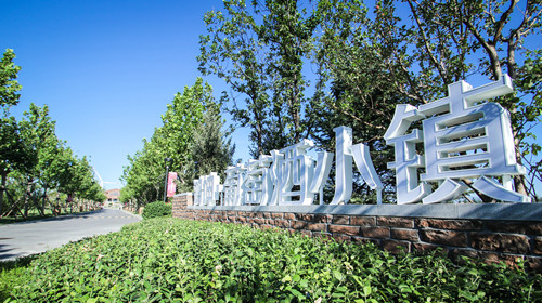 源樹作品:鴻坤·葡萄酒小鎮